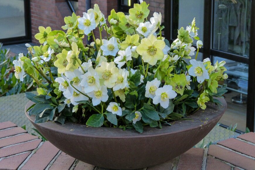 Romeo Ninov/istockphoto.com