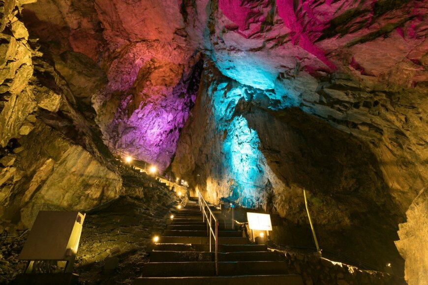 yoshi0511/shutterstock.com