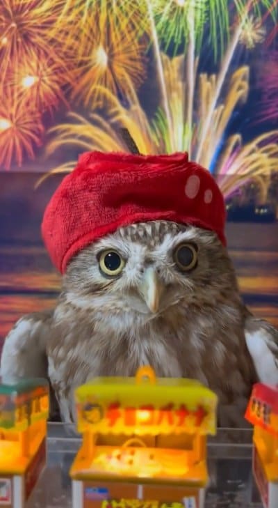 出所：@cr8673.hiro