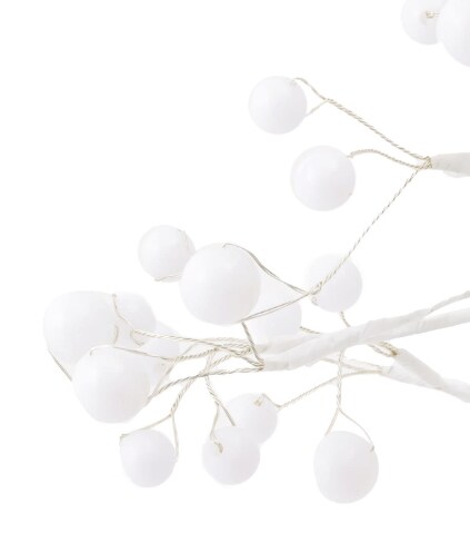 画像出所：3COINS公式