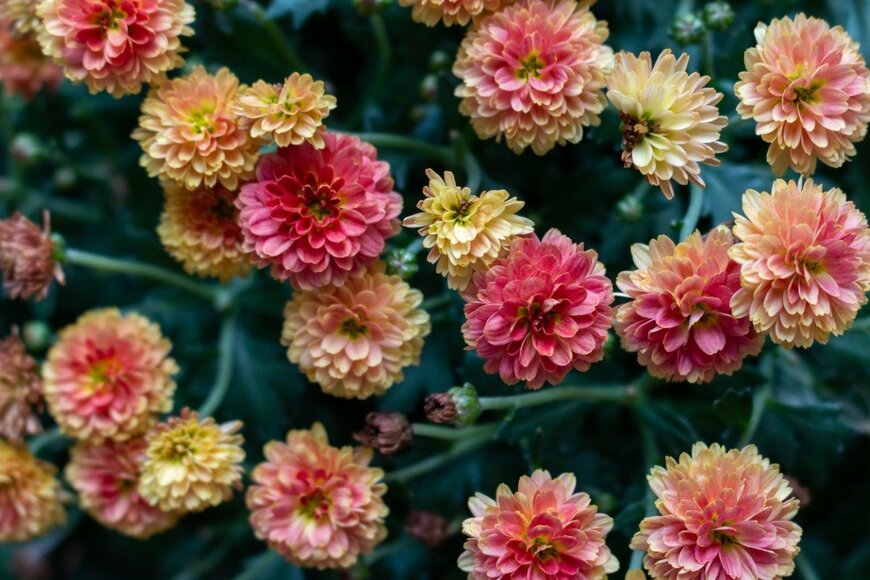 AndreaKuipers/istockphoto.com