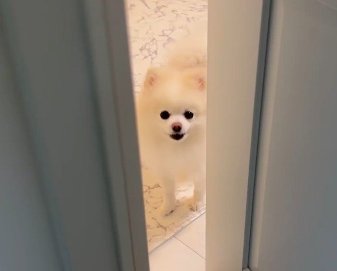 出所：@boku_ponchan