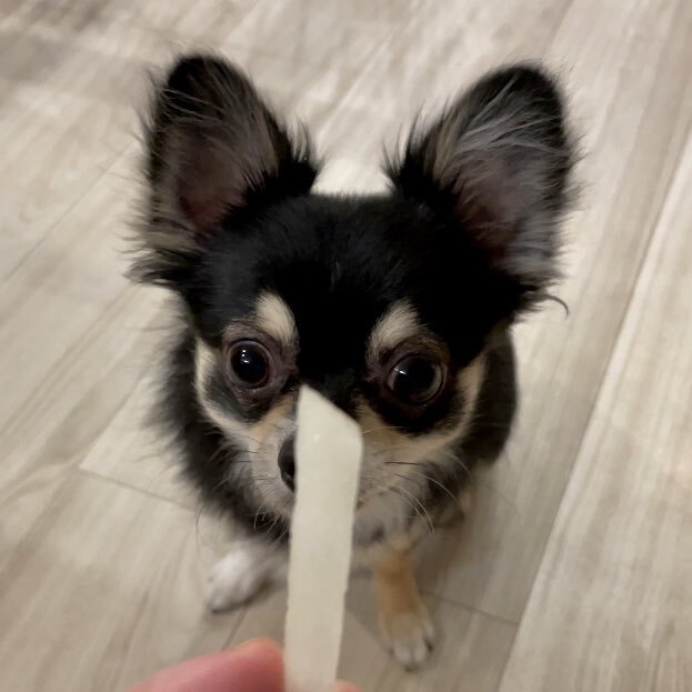 出所：@gomachihuahua