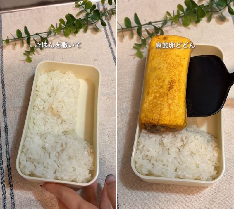 投稿の画像