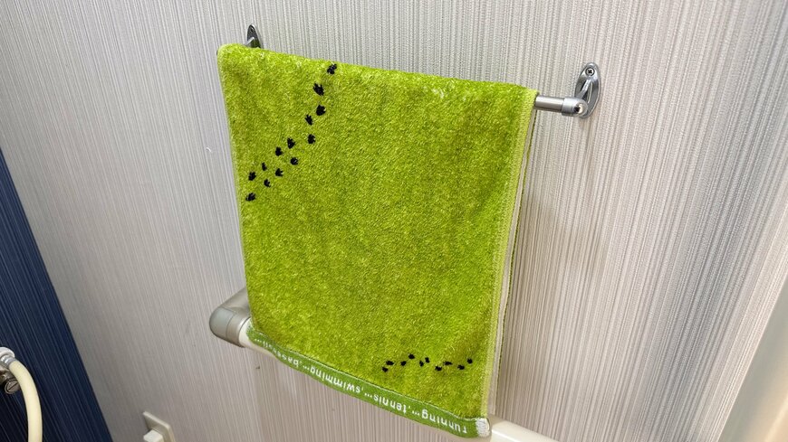 キウイ柄に見えるタオル