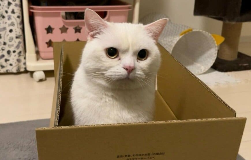 「自分から入ったよね？」と突っ込みたくなるお顔