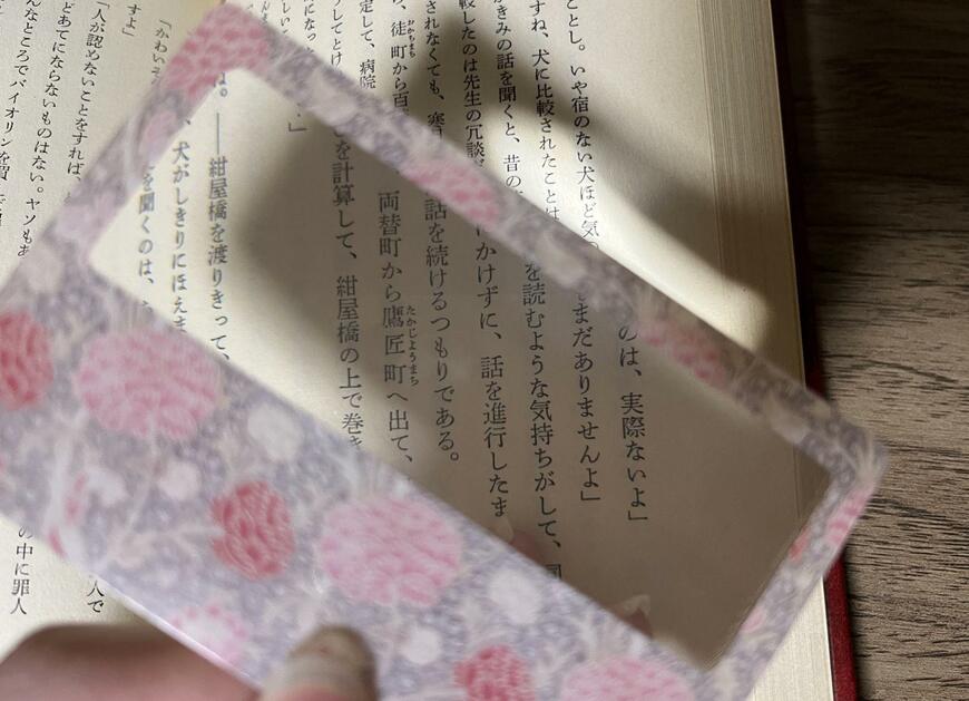 セリア、薄型ルーペ　マスターピースコレクション/ WM_ST＆CR写真