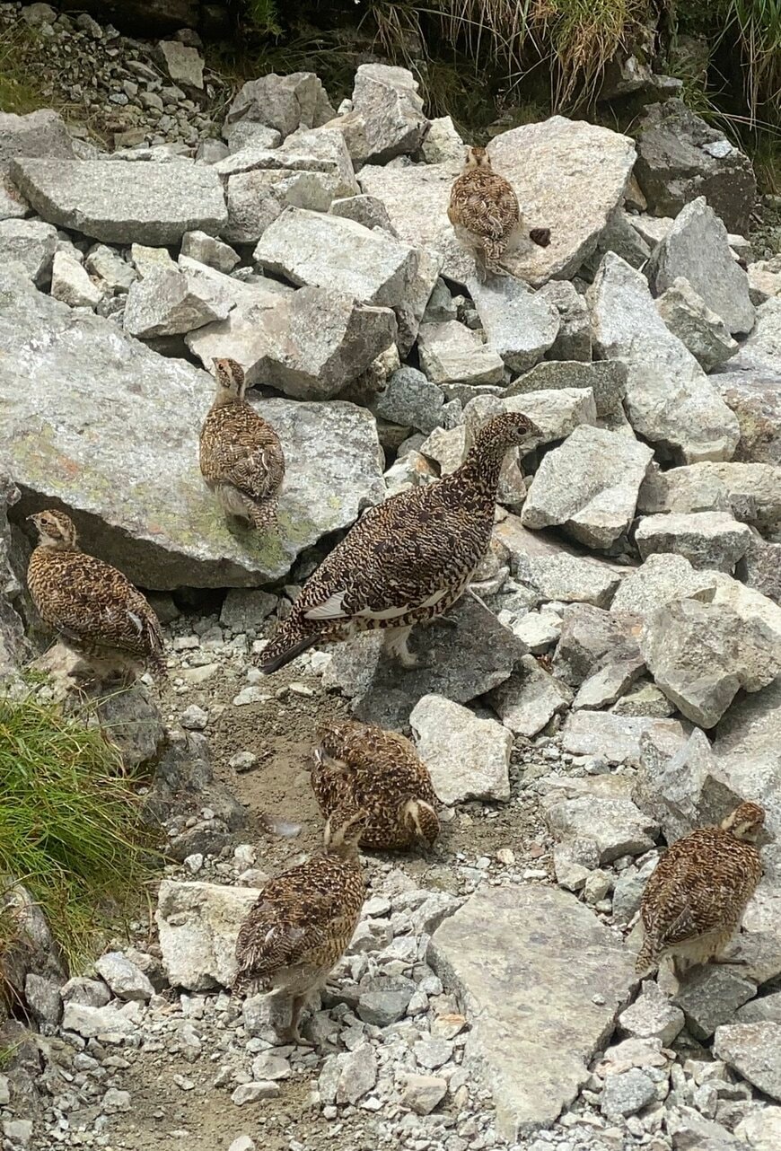 北アルプスで撮影した光景
