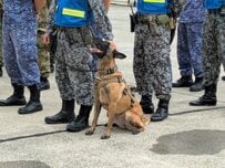 【警備犬】小泉進次郎防衛相も参加「九都県市合同防災訓練」で活躍した警備犬が凛々しくカッコいい！「K-9」という記号の意味は？