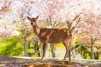 厚生年金「月額10万円以上」は平均より少なめか？？老後資産を準備する方法を考える