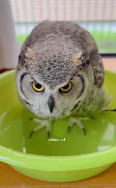 投稿動画のワンシーン