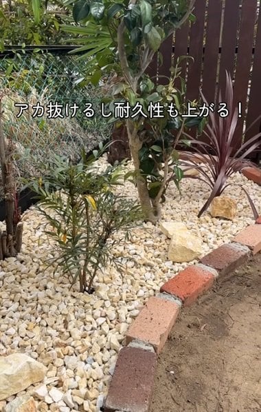 投稿の画像