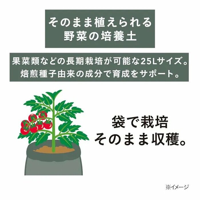 トマトやナス、キュウリをはじめ、さまざまな野菜に使える培養土