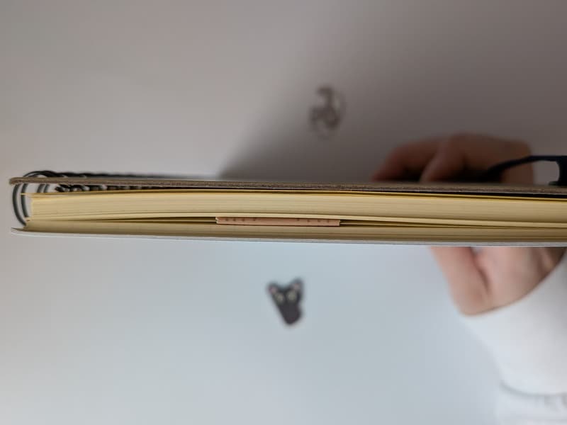 セリア　ポイントマグネット