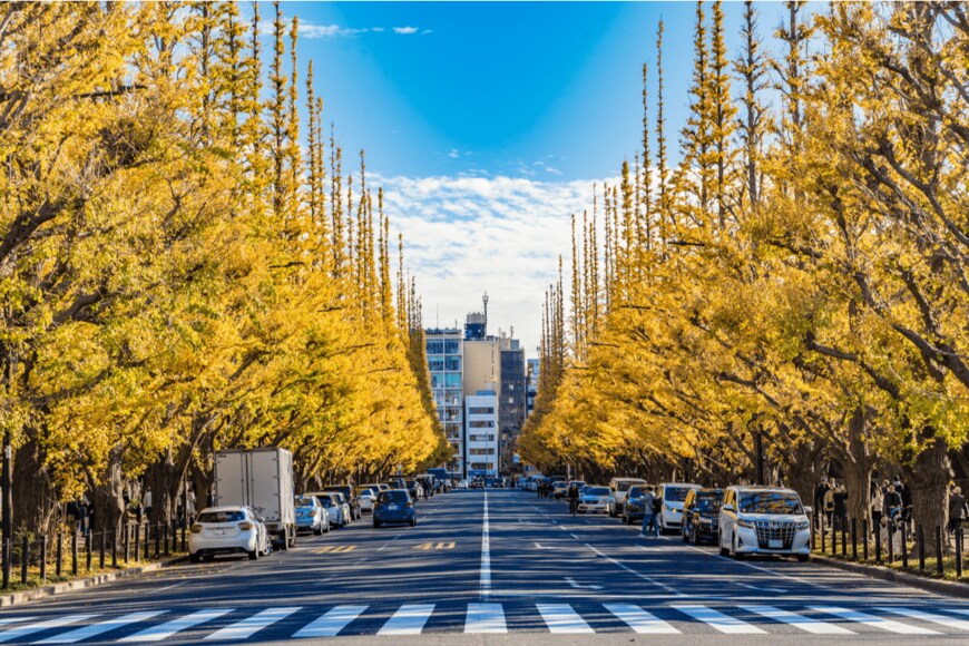 shutterstock.com/Takashi Images