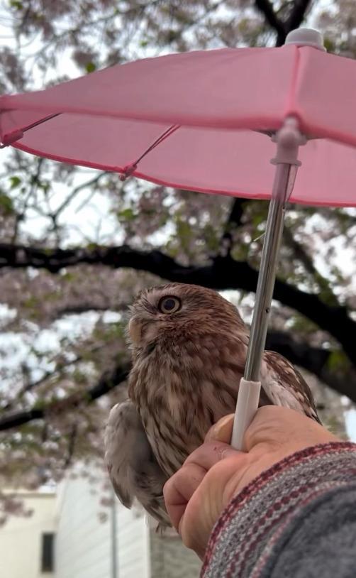 出所：@cr8673.hiro