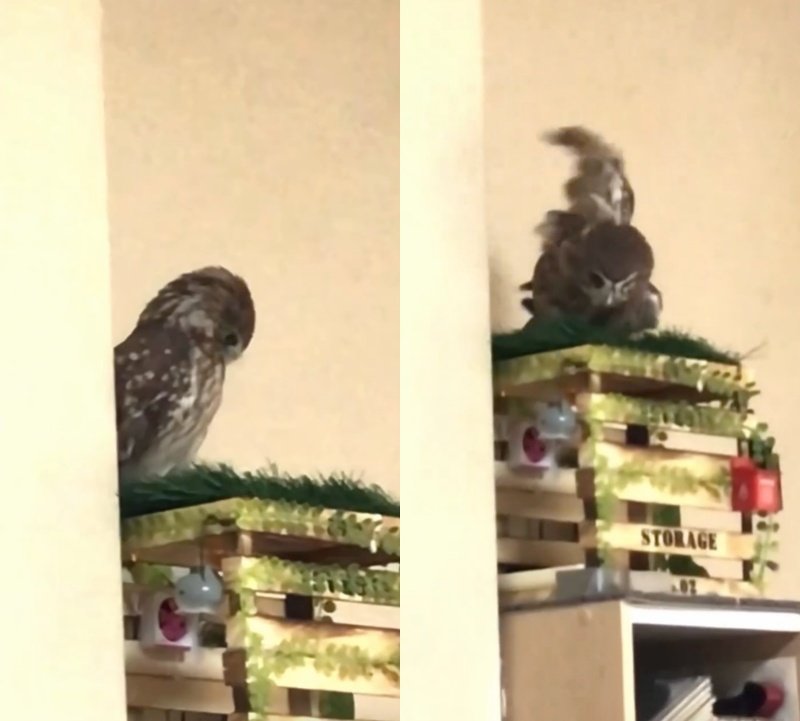 出所：@cr8673.hiro