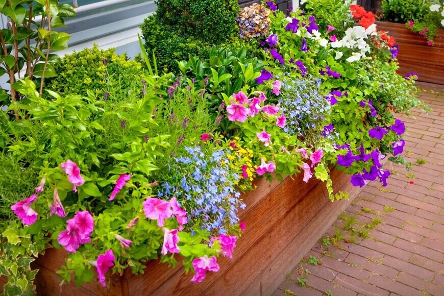 adisa/istockphoto.com