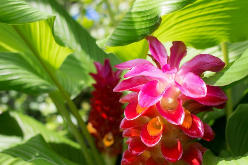 mtapscott/shutterstock.com