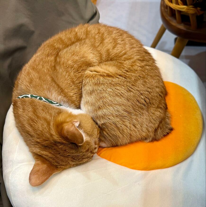 出所：@omochi_nam01