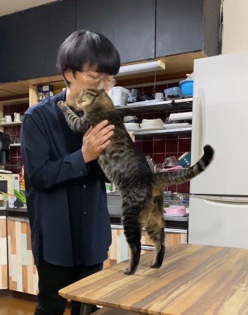 出所：@00shitemita