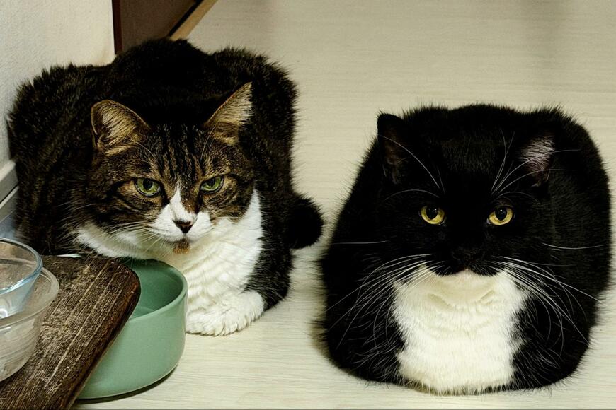 出所：@unicouniuni3