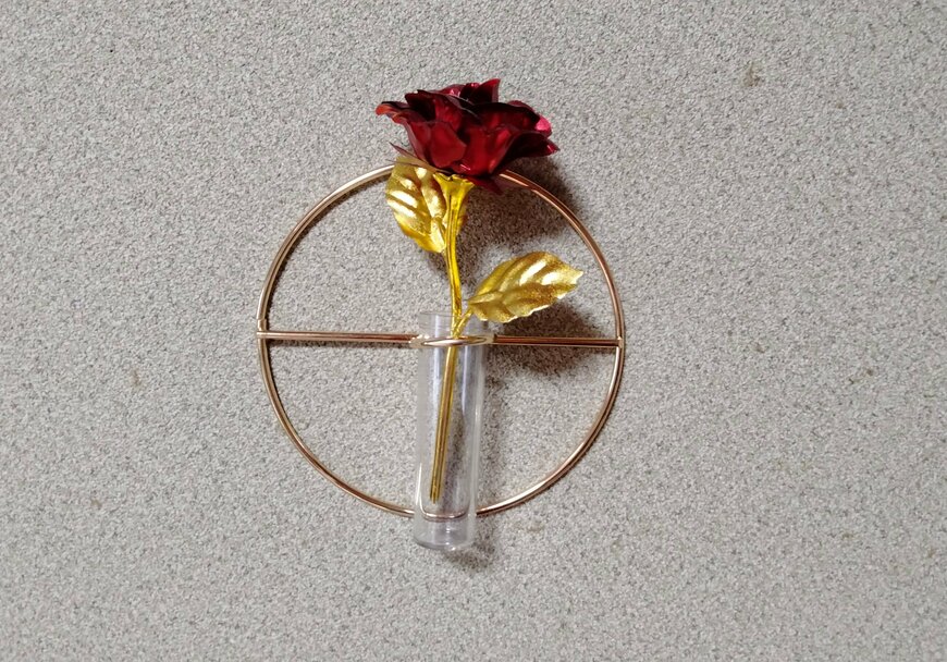 筆者撮影（セリア、ワイヤー ウォールディスプレイ ラウンド ポット付き）