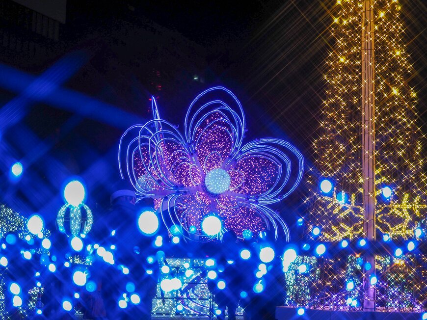 Koki Yamada/shutterstock.com