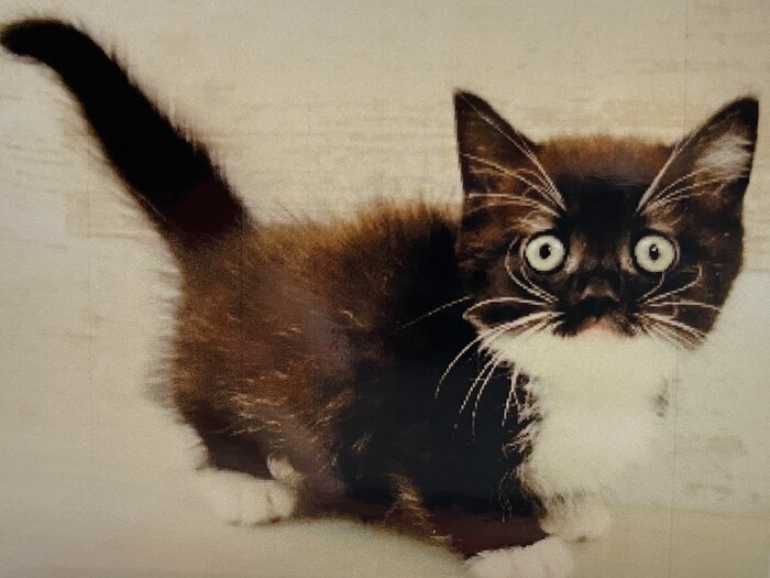 出所：@unicouniuni3