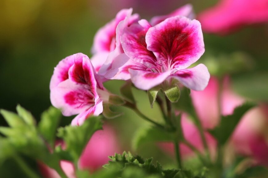 Srdjan Stepic/istockphoto.com