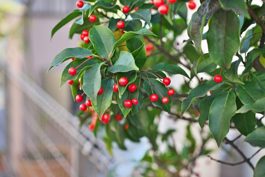 igaguri_1/isockphoto.com