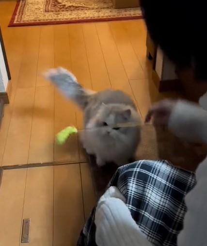 出所：@NEKOLAND13 