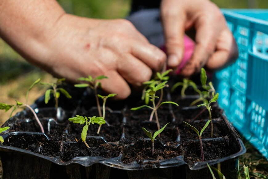 Kevin Mozetic/Shutterstock.com