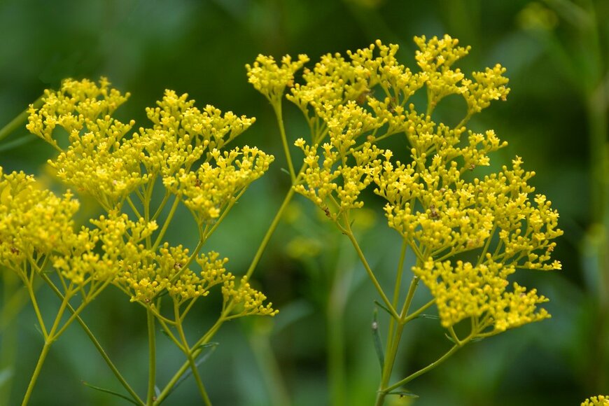 High Mountain/shutterstock.com