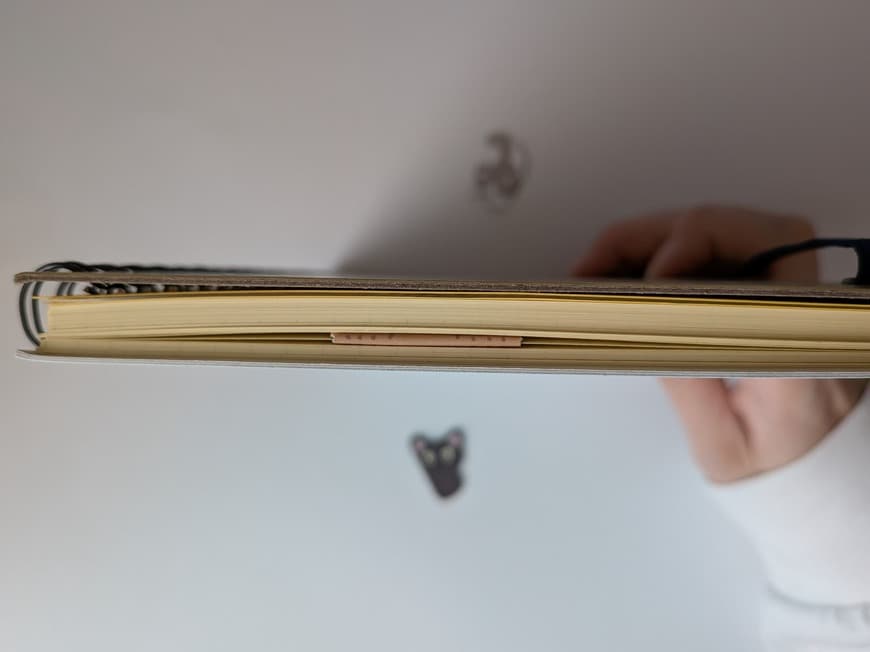 「最大3枚まで挟めて、閉じてもすっきりしていて、厚みがほとんど出ませんでした」