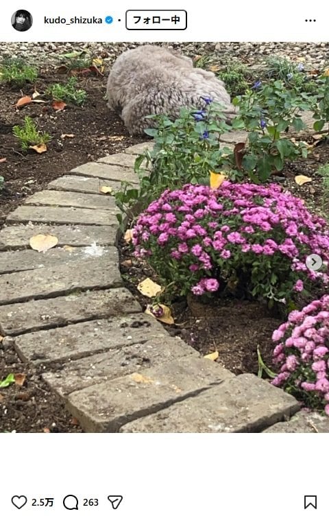 出所：工藤静香のInstagram（＠kudo_shizuka）参照日：2025年11月10日