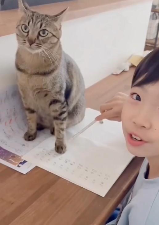 出所：@omame_mamegram