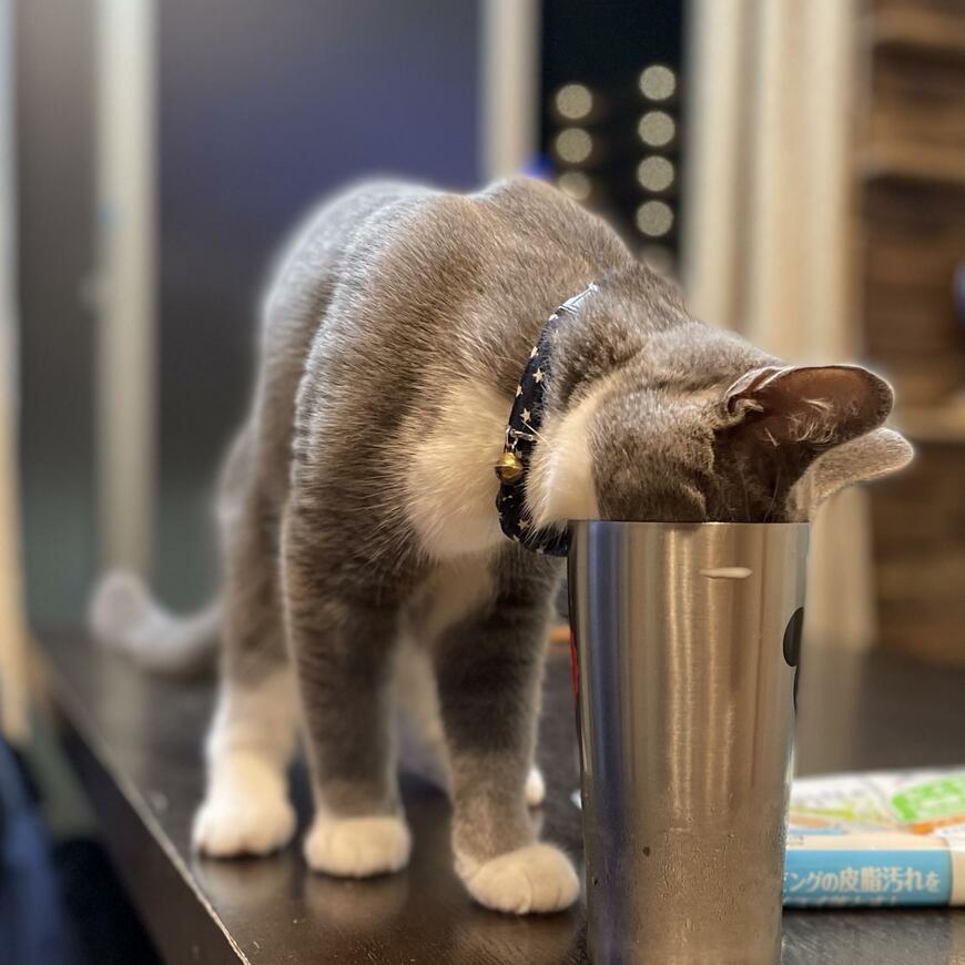 出所：@neko_wagaya