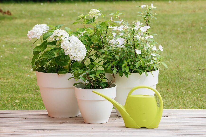 M Gl/Shutterstock.com