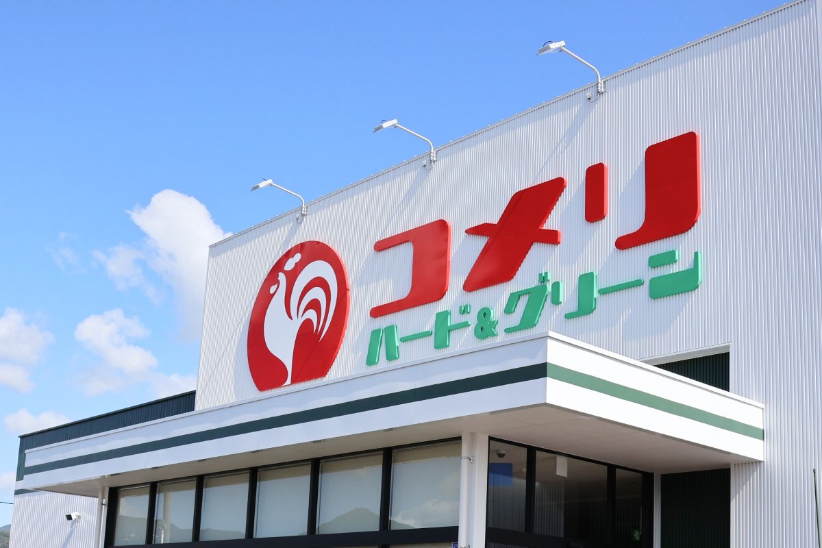 コメリの受皿付きプラ鉢で観葉植物を身近に