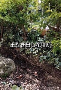 【築古実家のガーデニングDIY】長年放置された〈土がむき出しの花壇〉→〈木目調のおしゃれ花壇〉への大変身が話題！