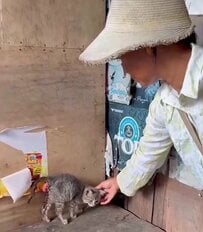 「子猫にふさわしいハッピーエンド」市場に取り残された生後6週の子猫、緊急手術を経て新しい家族の腕の中へ