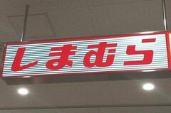 「649円で大容量」しまむら×サンリオ「エコバッグ全6種」口コミ高評価「ポムポムプリンやシナモロールも」