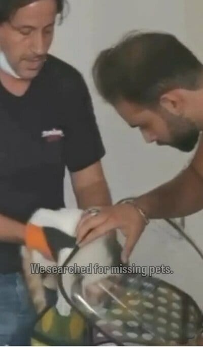 爆発後、動物の保護活動にあたるAnimals Lebanonのスタッフ