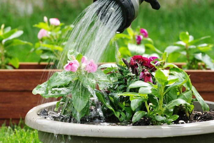 steadylens/istockphoto.com