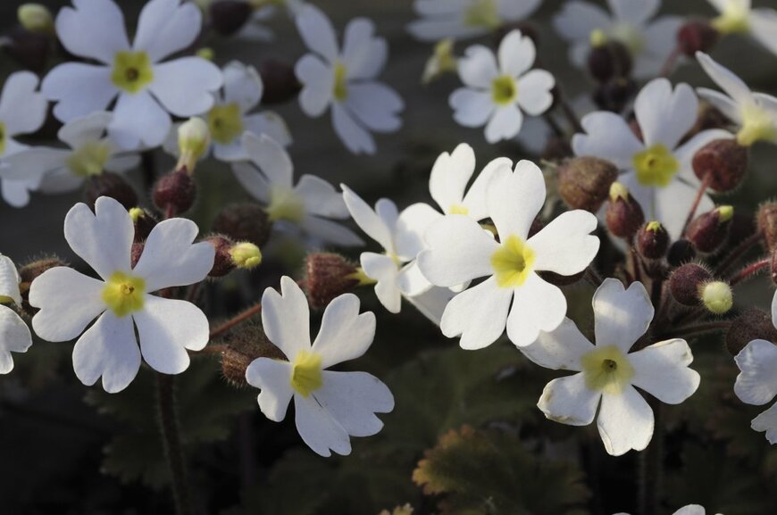 KPG-Payless2/shutterstock.com