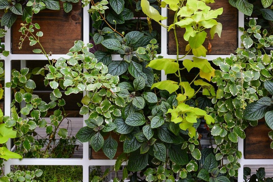 Iryna_L/istockphoto.com