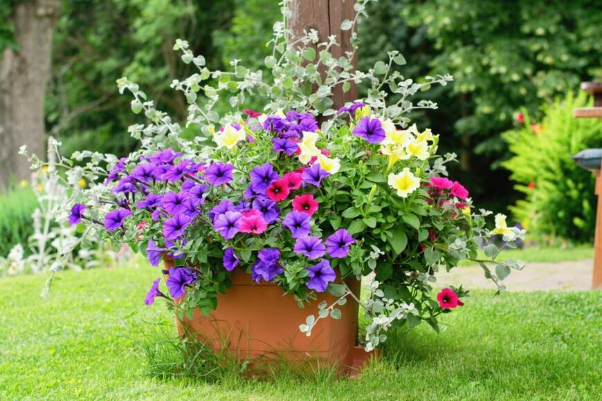 Tunatura/shutterstock.com