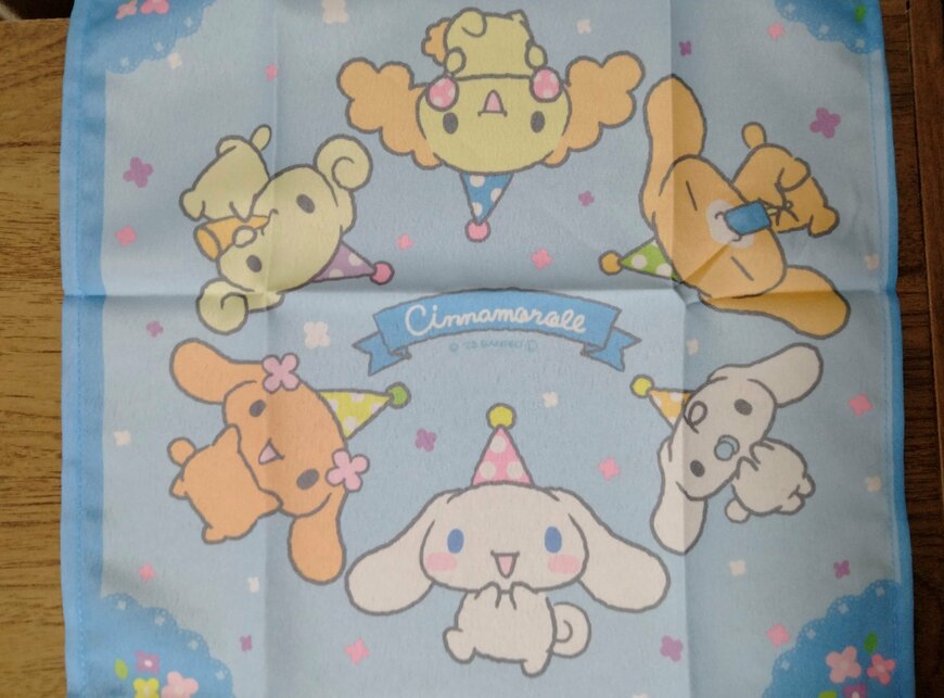 筆者撮影（キャンドゥ、マルチクロス）