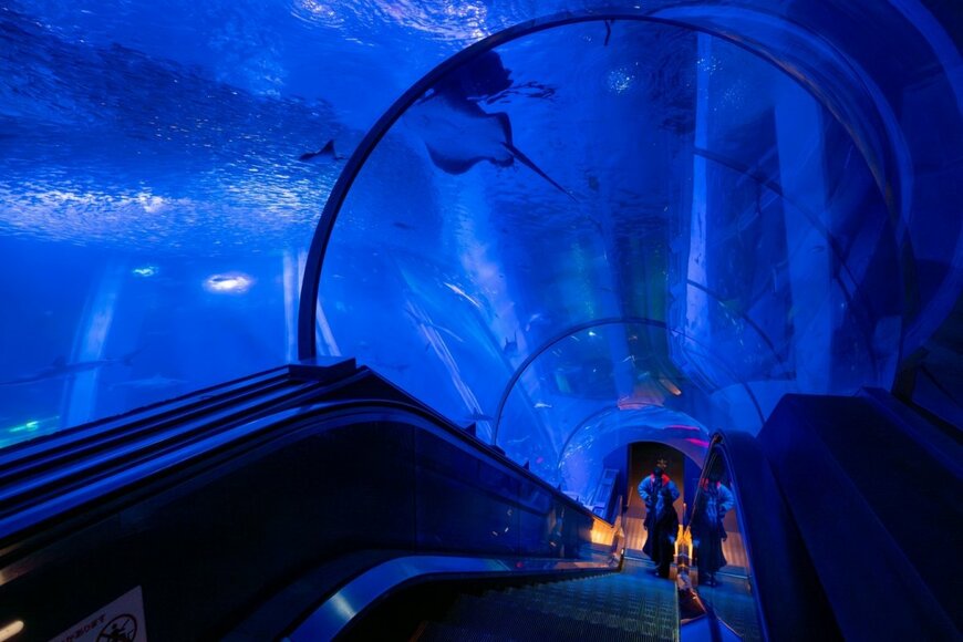 Jye Shen/Shutterstock.com